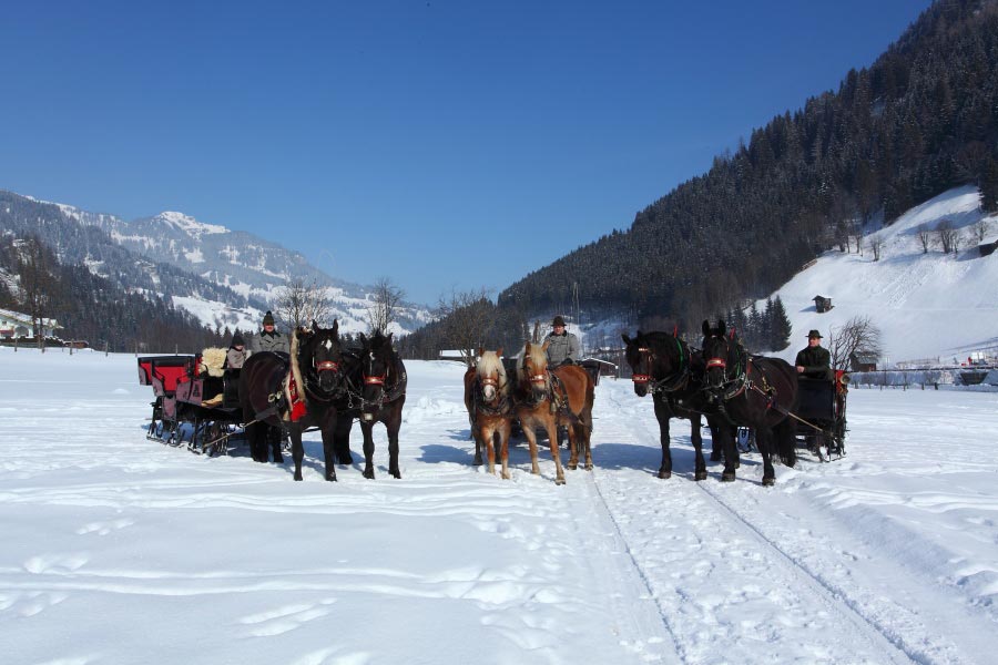 Pferdekutsche Winterurlaub